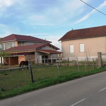 Maison De 100M2 Au Coeur D'Une Pension Equestre Les Sabots De Nina Marcollin Dış mekan fotoğraf